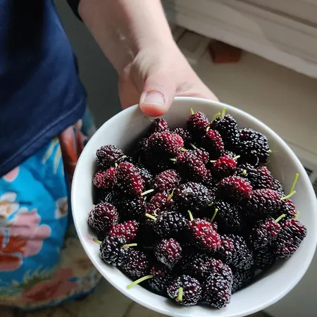 בית אירוח Alle Querce